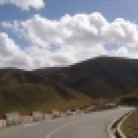 植发星皇甫大佬