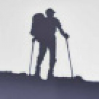 植发星盛夏summer信