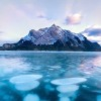 植发星梦碎天堂四叶草