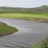 植发星qq563604030