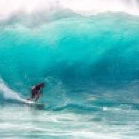 植发星玩弄TA0255