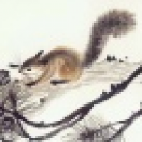 植发星我爱罗ge殶火