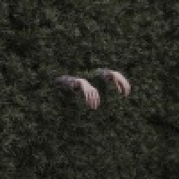 植发星福州吧壹母Z曨