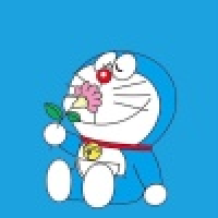 植发星木爷ZLyn5