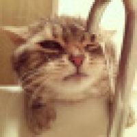 植发星栗原川耍