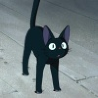 植发星戏子73204