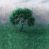 植发星熙熙55070