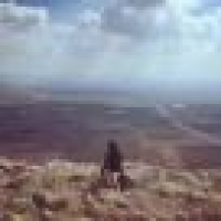 植发星生活live568