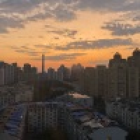 植发星丰毛头RB07Z