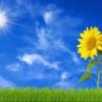 植发星神剑拾降1