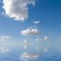 植发星爱幸运兔子的家