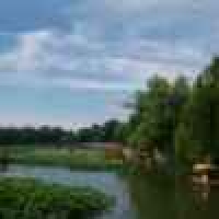 植发星离殇你MB582