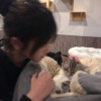 植发星文笖懼164