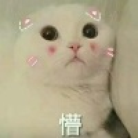 植发星松岗社员