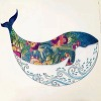 植发星爱刷jqYX52H