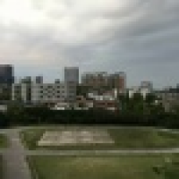 植发星神仙也疯癫00