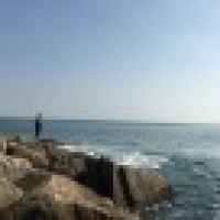 植发星小情歌8蔌