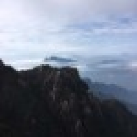 植发星紫蝶飘翼