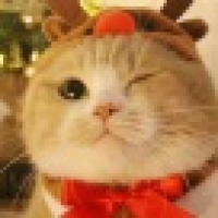 植发星胡子小惠挽伱的