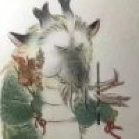 植发星洪志华hong