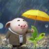 植发星纸弟弟烧饼111