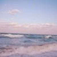 植发星艹蛋的生活PCQ