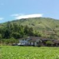 植发星我是娜媛