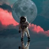 植发星水乡湖城