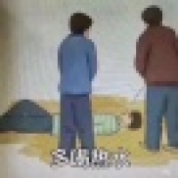 植发星花开情自在7758