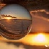 植发星l309879938l