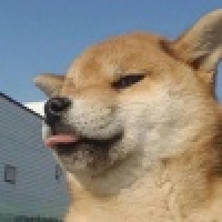 植发星秦时记忆90后