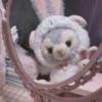 植发星爆儿███2b輔