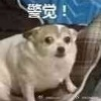 植发星想你的槎