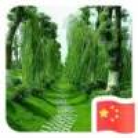 植发星海角ad482