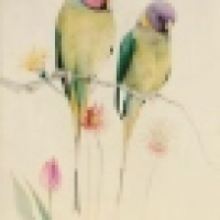 植发星清风玄雨