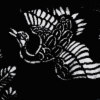 植发星破鞋民族