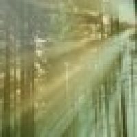 植发星最爱妍0eW4