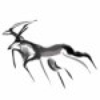 植发星扁豆大侠