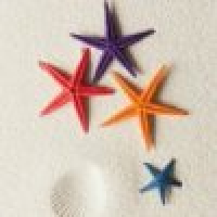 植发星流沫000AF