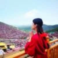 植发星荷花泥鳅0347