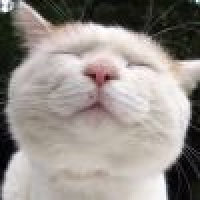 植发星挚爱慧莹u潫