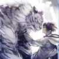 植发星若离〃忊夈