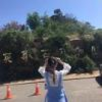 植发星我爱您小亲亲您