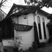 植发星是傻冉么12