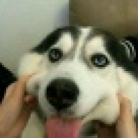 植发星时光肆意流转