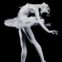 植发星生活真难wwe