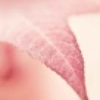 植发星监控_檚席