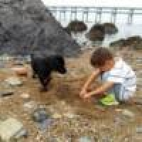 植发星珍贵思远词