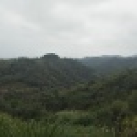 植发星我不想跳舞