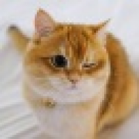 植发星蘇荷‖xbvw↖